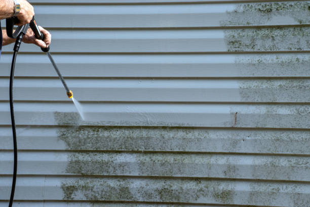 Professional Siding Installation & Repair in Linton Hall, VA